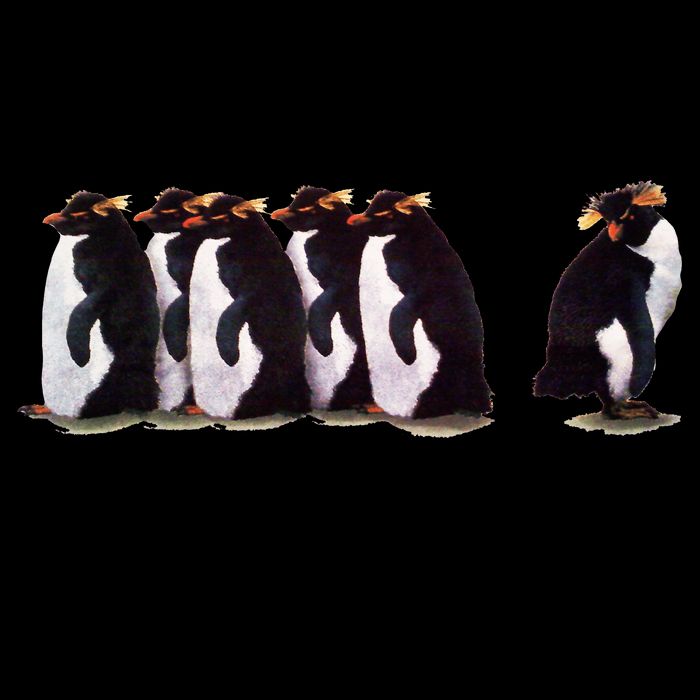 I Just Gotta Be Me Penguin 16oz Travel Tumbler