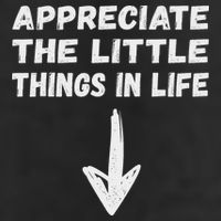 Inappropriate Joke Hilarious Sarcastic Gag Gifts Appreciate The Little Things In Life Funny Joke Adu 7 Panel Mesh Trucker Snapback Hat