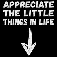 Inappropriate Joke Hilarious Sarcastic Gag Gifts Appreciate The Little Things In Life Funny Joke Adu Performance Shirt
