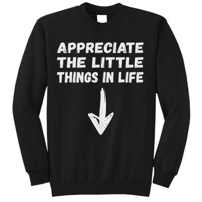 Inappropriate Joke Hilarious Sarcastic Gag Gifts Appreciate The Little Things In Life Funny Joke Adu Sweatshirt