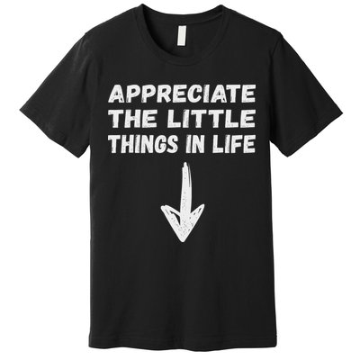 Inappropriate Joke Hilarious Sarcastic Gag Gifts Appreciate The Little Things In Life Funny Joke Adu Premium T-Shirt
