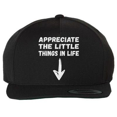 Inappropriate Joke Hilarious Sarcastic Gag Gifts Appreciate The Little Things In Life Funny Joke Adu Wool Snapback Cap