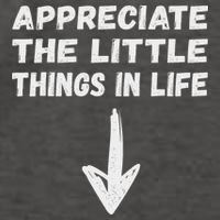 Inappropriate Joke Hilarious Sarcastic Gag Gifts Appreciate The Little Things In Life Funny Joke Adu Vector Backpack