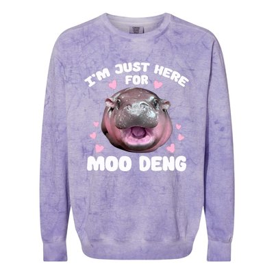 IM Just Here For Moo Deng Cute Baby Hippo Bouncy Souvenir Colorblast Crewneck Sweatshirt