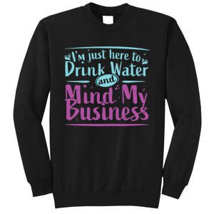 Im Just Here To Drink Water And Mind My Business Soca Party Sweatshirt