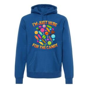 Im Just Here For The Candy Funny Halloween Pun Premium Hoodie