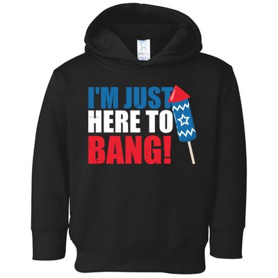 Im Just Here To Bang Firework 4th Of July Toddler Hoodie
