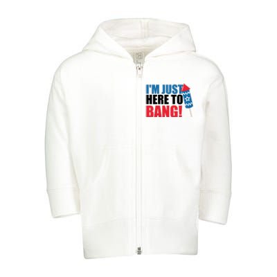 Im Just Here To Bang Firework 4th Of July Toddler Zip Fleece Hoodie