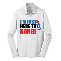 Im Just Here To Bang Firework 4th Of July Silk Touch Performance Long Sleeve Polo