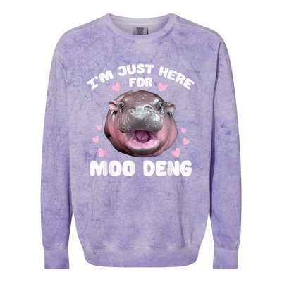 IM Just Here For Moo Deng Cute Baby Hippo Bouncy Souvenir Colorblast Crewneck Sweatshirt