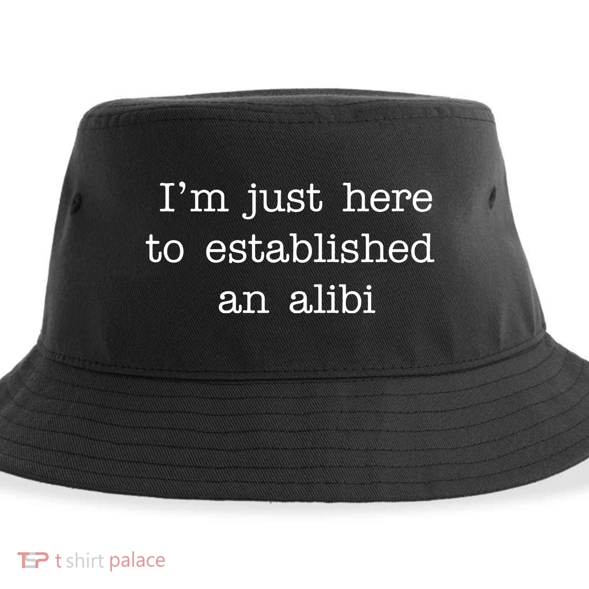 I'm Just Here To Established An Alibi Sustainable Bucket Hat