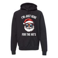 I’M Just Here For The Ho’S Funny Adult Christmas Santa Claus Premium Hoodie