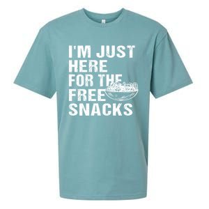 Im Just Here For The Free Snacks Funny Meaningful Gift Sueded Cloud Jersey T-Shirt