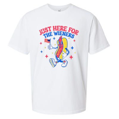 IM Just Here For The Wieners 4th Of July Hot Dog Sueded Cloud Jersey T-Shirt