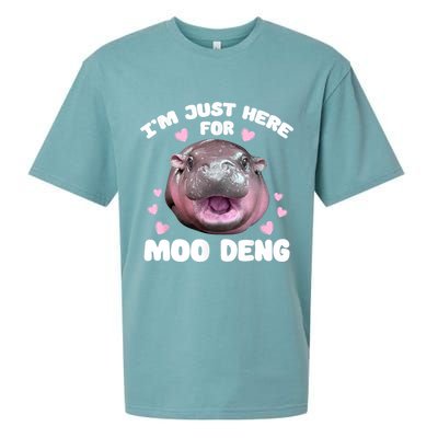 IM Just Here For The Moo Deng Sueded Cloud Jersey T-Shirt