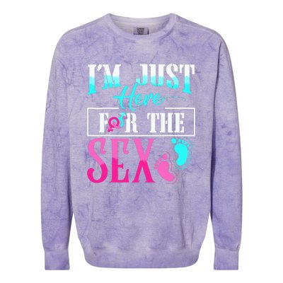 Im Just Here For The Sex Colorblast Crewneck Sweatshirt