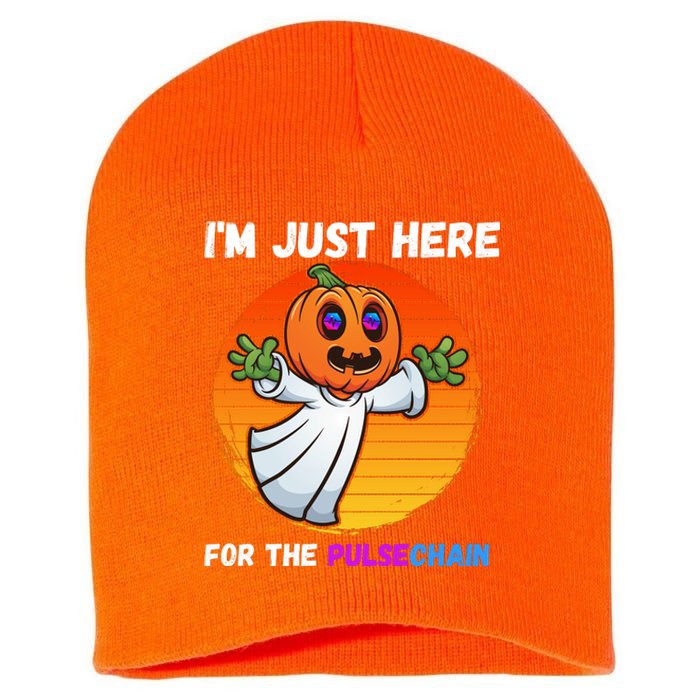 Im Just Here For The PulseChain Funny Halloween HEX Funny Halloween Pulsechain Short Acrylic Beanie