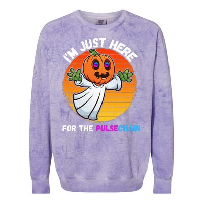 Im Just Here For The PulseChain Funny Halloween Pulsechain Funny Halloween HEX Colorblast Crewneck Sweatshirt