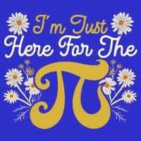 I'm Just Here For The Pi Math Teacher Mathematician Pi Day Great Gift Mesh Reversible Basketball Jersey Tank