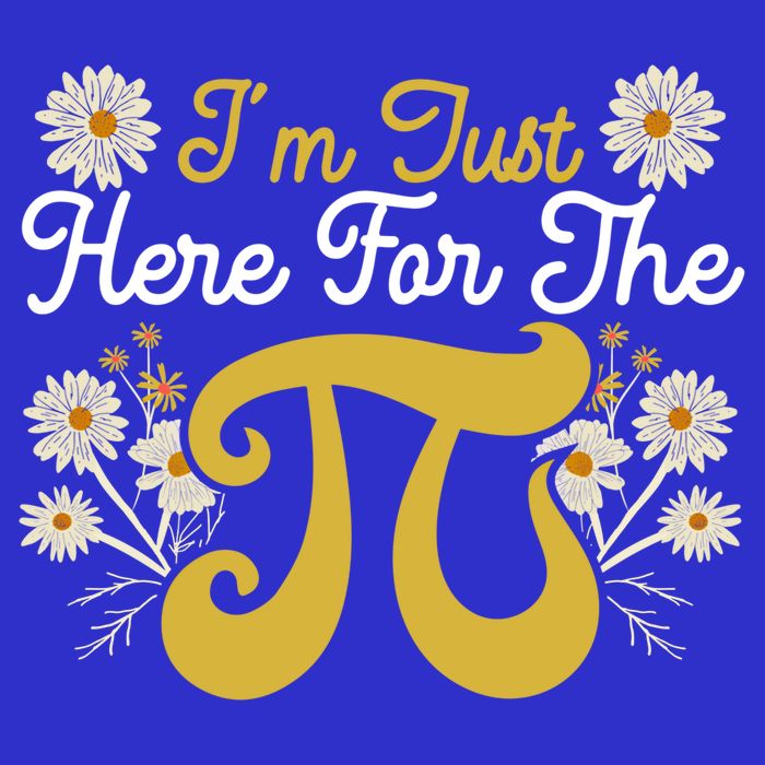 I'm Just Here For The Pi Math Teacher Mathematician Pi Day Great Gift Mesh Reversible Basketball Jersey Tank