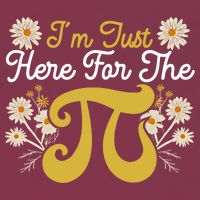I'm Just Here For The Pi Math Teacher Mathematician Pi Day Great Gift 16oz Travel Tumbler