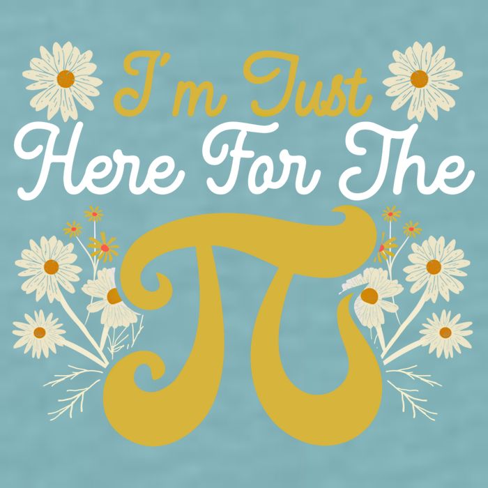 I'm Just Here For The Pi Math Teacher Mathematician Pi Day Great Gift Sueded Cloud Jersey T-Shirt