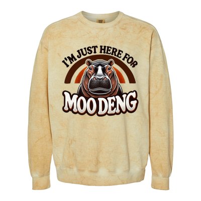 IM Just Here For Moo Deng Cute Baby Hippo 2024 Meme Vintage Rainbow Colorblast Crewneck Sweatshirt