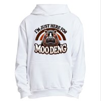 IM Just Here For Moo Deng Cute Baby Hippo 2024 Meme Vintage Rainbow Urban Pullover Hoodie