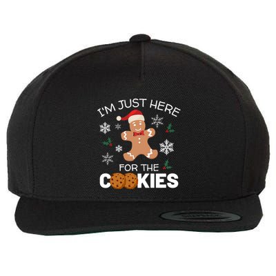 IM Just Here For The Cookies Funny Christmas Gingerbread Cool Gift Wool Snapback Cap
