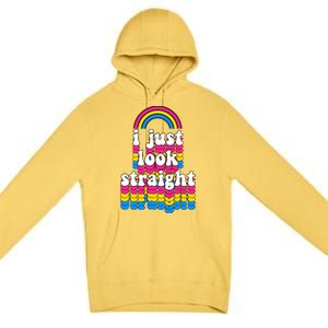 I Just Look Straight Pansexual Pride Flag Gift Premium Pullover Hoodie