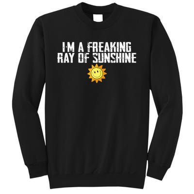 Im Just One Big Freaking Ray Of Sunshine Funny Sarcastic Sweatshirt