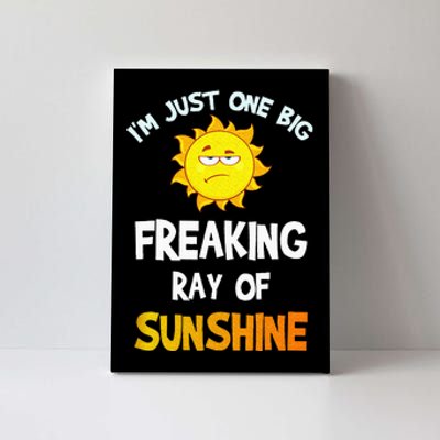 Im Just One Big Freaking Ray Of Sunshine Funny Idea Canvas