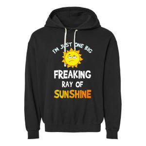 Im Just One Big Freaking Ray Of Sunshine Funny Idea Garment-Dyed Fleece Hoodie