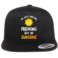 Im Just One Big Freaking Ray Of Sunshine Funny Idea Flat Bill Trucker Hat