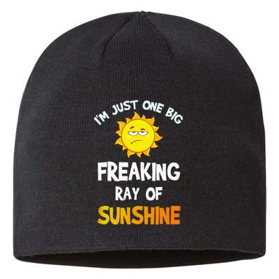 Im Just One Big Freaking Ray Of Sunshine Funny Idea Sustainable Beanie