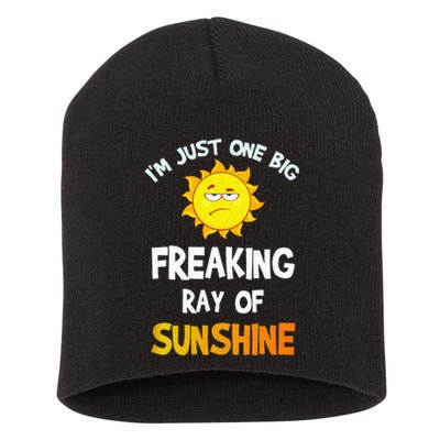 Im Just One Big Freaking Ray Of Sunshine Funny Idea Short Acrylic Beanie