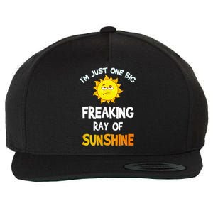 Im Just One Big Freaking Ray Of Sunshine Funny Idea Wool Snapback Cap