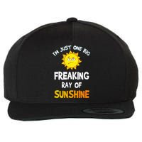 Im Just One Big Freaking Ray Of Sunshine Funny Idea Wool Snapback Cap