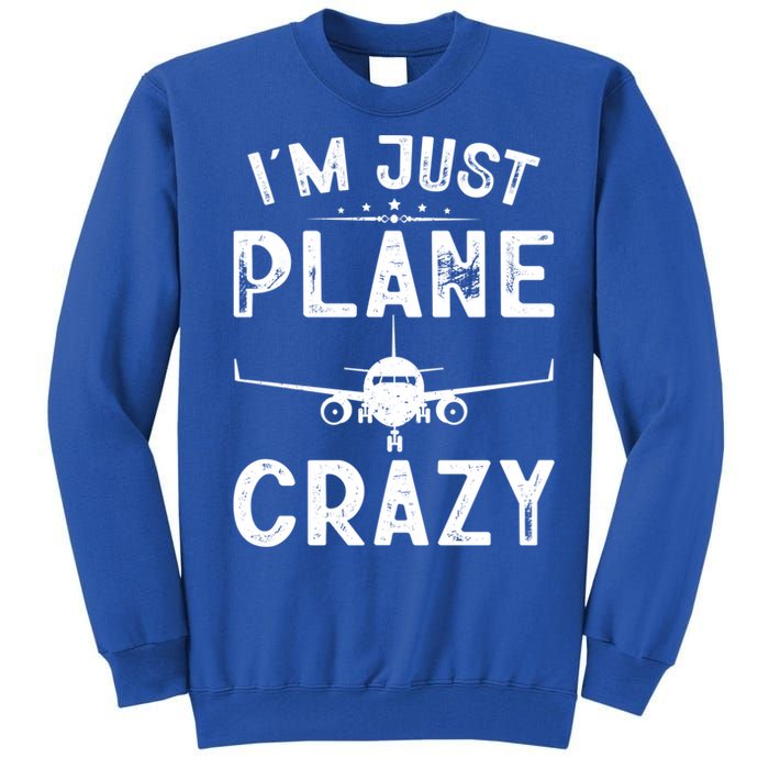 IM Just Plane Crazy Airplanes Lover Aviation Funny Gift Tall Sweatshirt