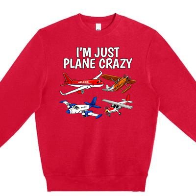 I'm Just Plane Crazy Aviation Gifts For Aircraft Pilots Premium Crewneck Sweatshirt