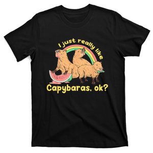 I Just Really Like Capybaras Ok Capybara Lover Funny T-Shirt