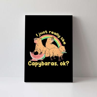 I Just Really Like Capybaras Ok Capybara Lover Funny Canvas