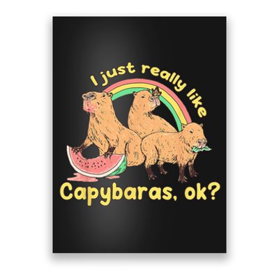 I Just Really Like Capybaras Ok Capybara Lover Funny Poster