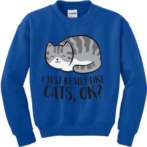 I Just Really Like Cats Ok? Funny Cat Gift Kids Sweatshirt