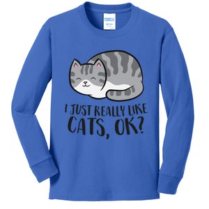 I Just Really Like Cats Ok? Funny Cat Gift Kids Long Sleeve Shirt