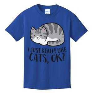 I Just Really Like Cats Ok? Funny Cat Gift Kids T-Shirt