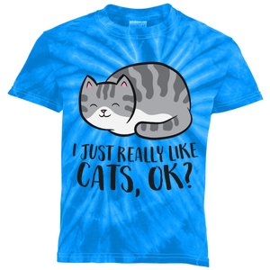 I Just Really Like Cats Ok? Funny Cat Gift Kids Tie-Dye T-Shirt