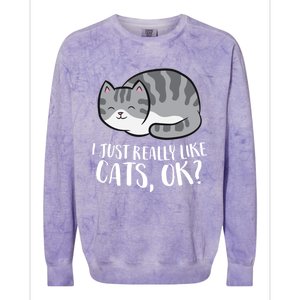 I Just Really Like Cats Gift Colorblast Crewneck Sweatshirt