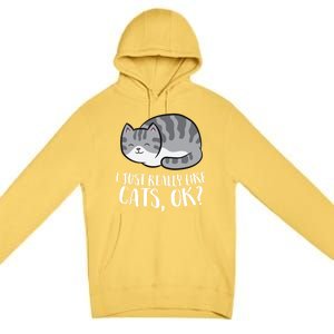 I Just Really Like Cats Gift Premium Pullover Hoodie