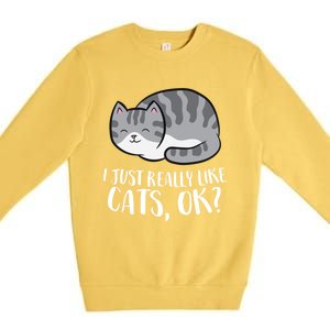 I Just Really Like Cats Gift Premium Crewneck Sweatshirt